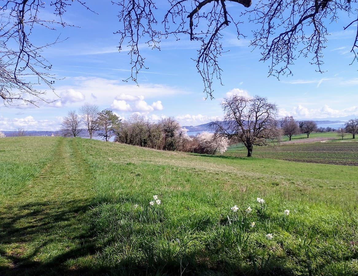 Bodanrück Rundwanderung — Bild 1