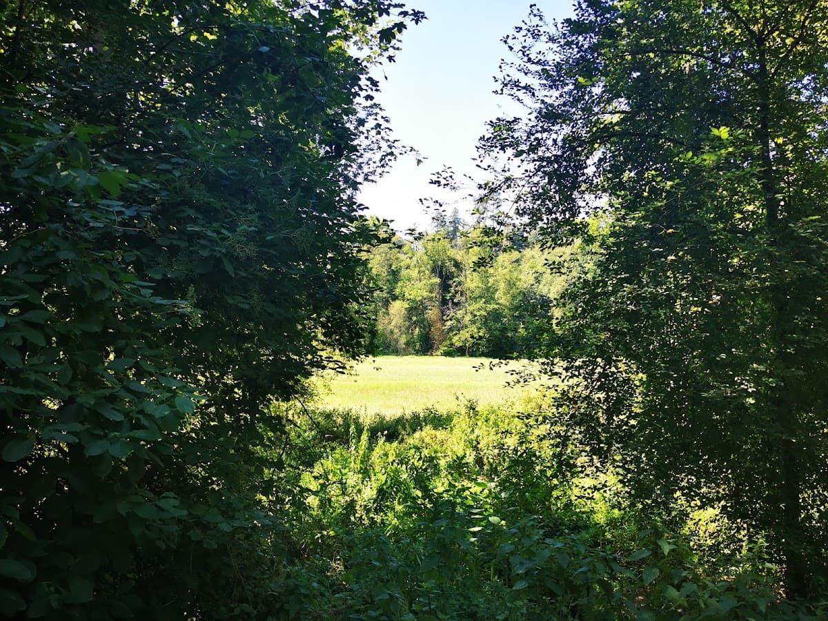 Grillhütte Deisendorf — Bild 1