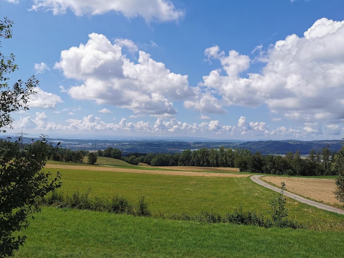 Grillplatz Heiligenholz Heiligenberg — Bild 1