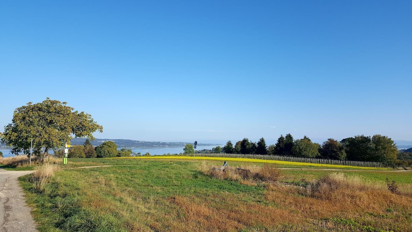 Grillplatz Litzelstetten Purren — Bild 1