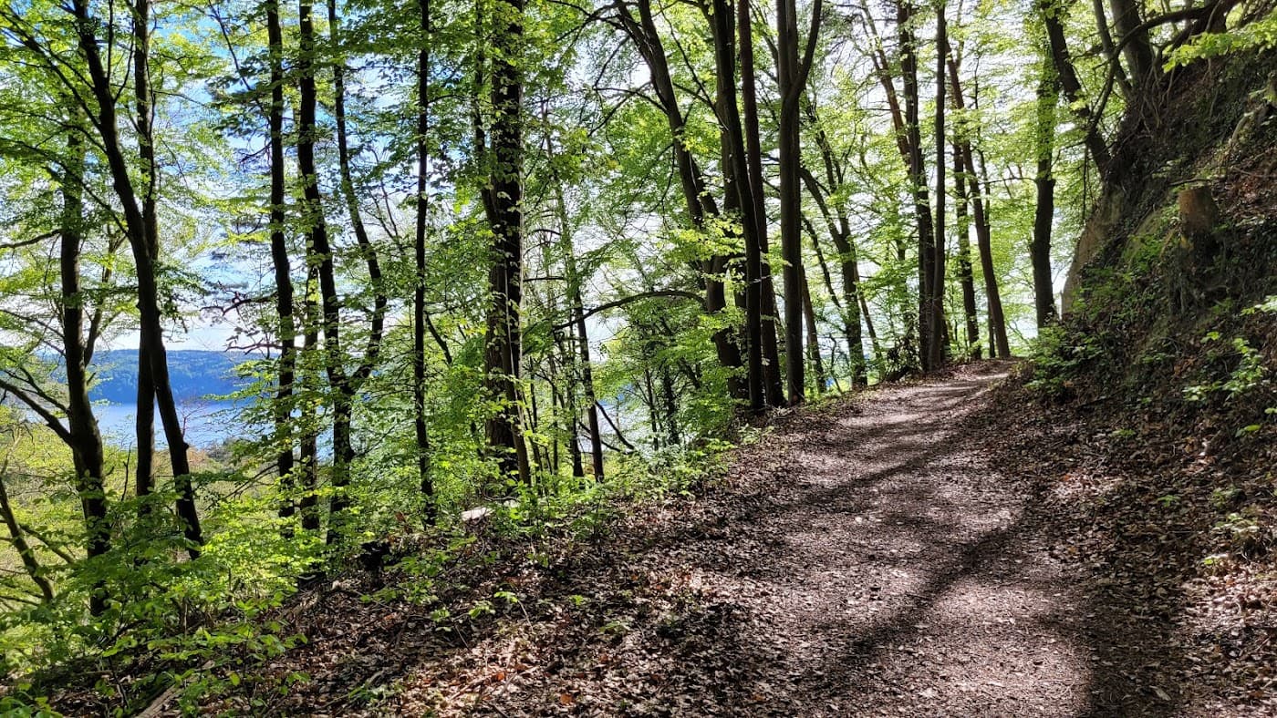 Kinder-Erlebnispfad Sipplingen — Bild 1