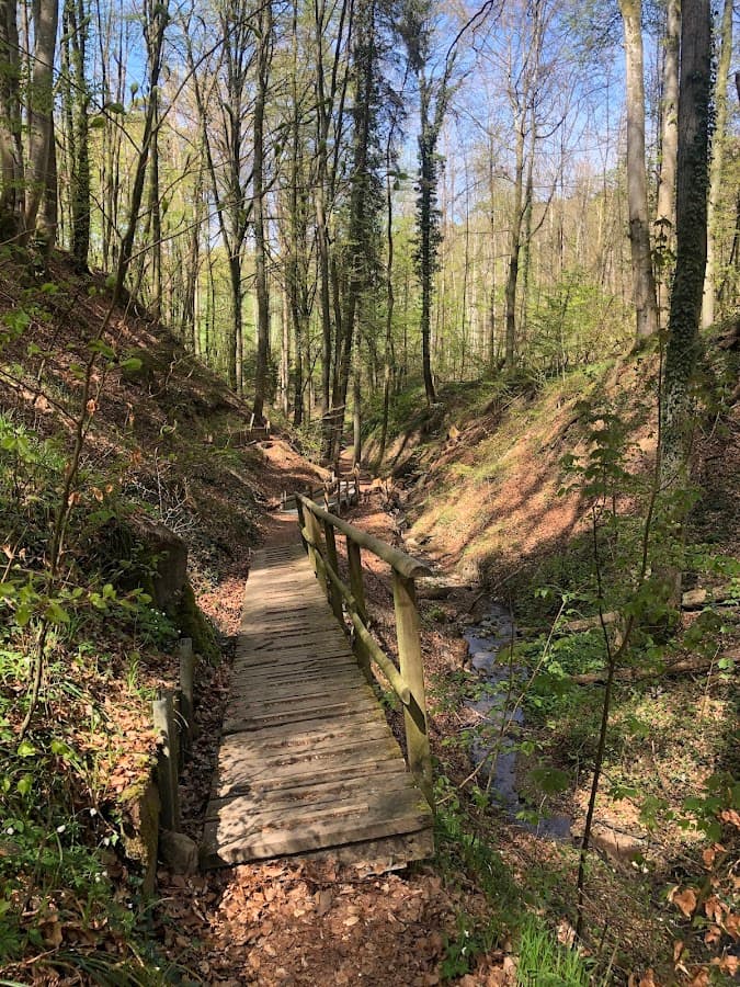 Klingenbachschlucht Öhningen — Bild 1