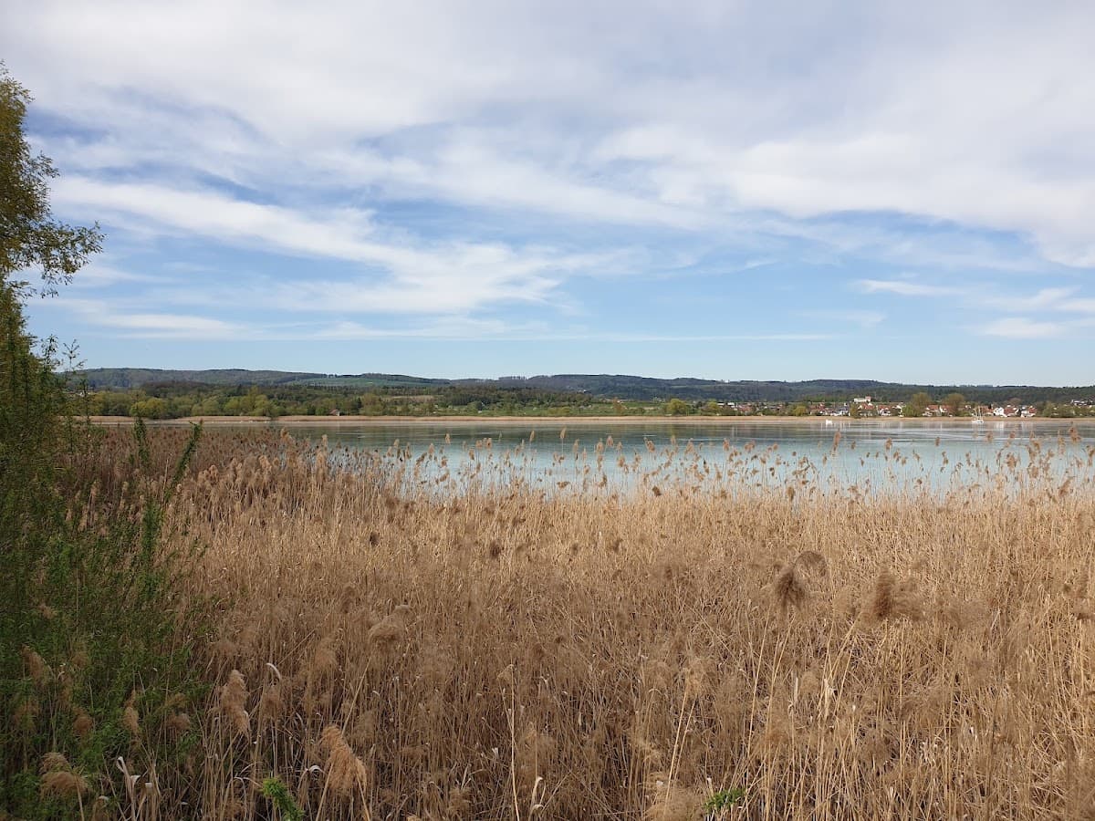 Life-Pfad Radolfzell — Bild 1