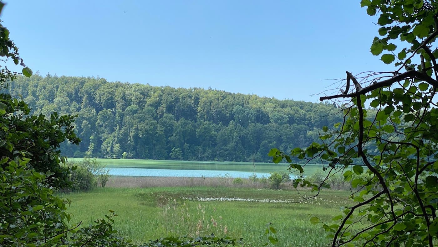 Mindelsee Naturschutzgebiet — Bild 1