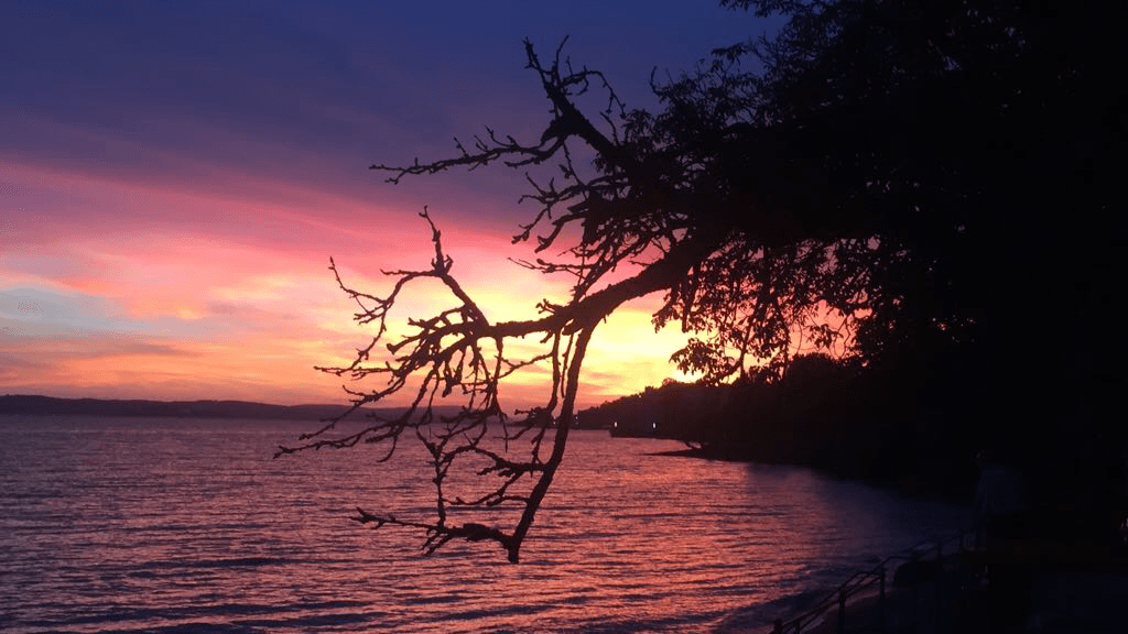 Minigolf Meersburg — Bild 1