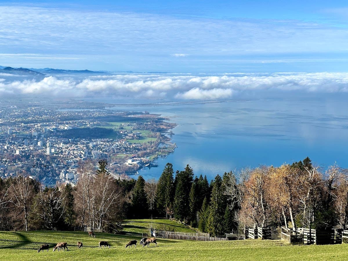 Pfänder & Bregenzer Wald — Bild 1