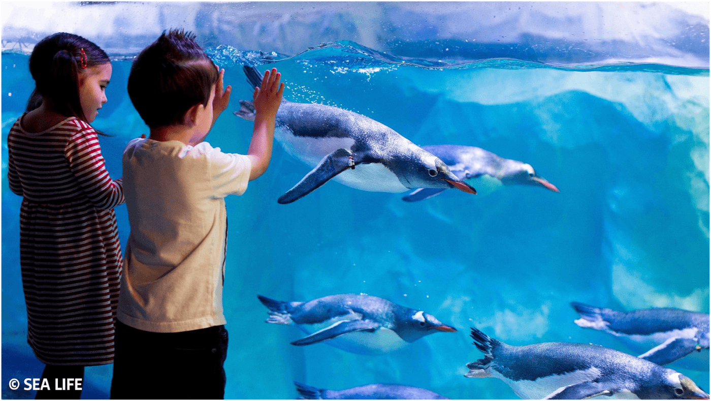 Sea Life Konstanz — Bild 1