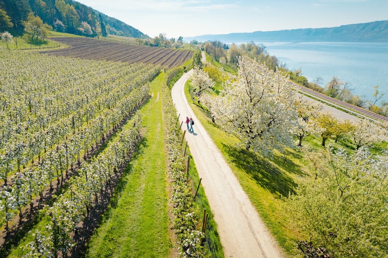 SeeGang Wanderweg ab Konstanz — Bild 1