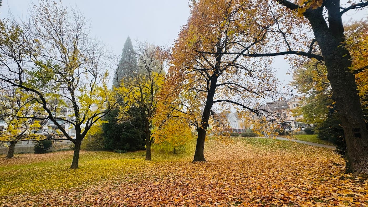 Uferpark Friedrichshafen — Bild 1